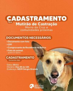 Interessados em Castração gratuita para cães devem fazer o cadastramento 3