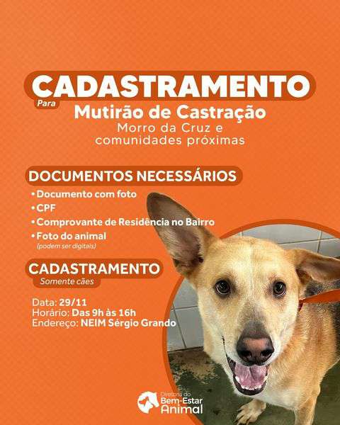 Interessados em Castração gratuita para cães devem fazer o cadastramento 4