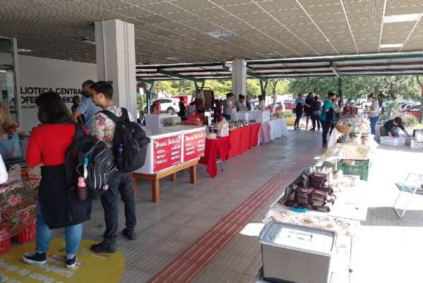 Conferência discute políticas de apoio à Economia Solidária de Santa Catarina 1