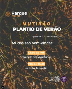 Leia mais sobre o artigo Mutirão de plantio de verão no parque Muhda acontece nesta quarta-feira, 20 de novembro