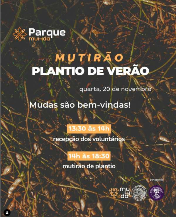 Mutirão de plantio de verão no parque Muhda acontece nesta quarta-feira, 20 de novembro 4