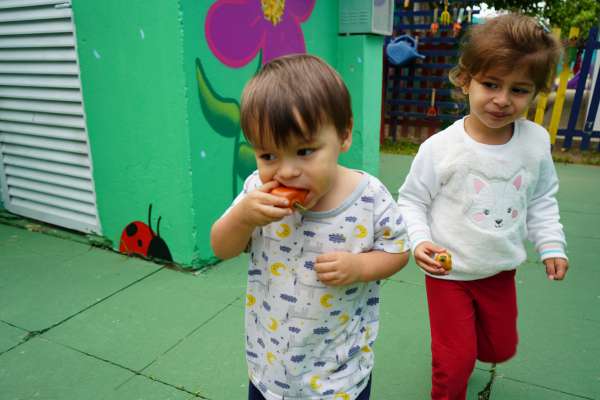 Projeto de Horta Estimula Hábitos Saudáveis em Creche do Carianos 20