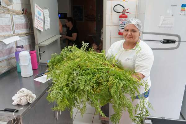 Projeto de Horta Estimula Hábitos Saudáveis em Creche do Carianos 27