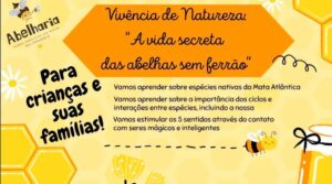 Vivência de Natureza A Vida Secreta das Abelhas Sem Ferrão acontece no dia 16 de novembro 18