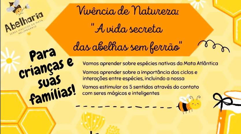 Vivência de Natureza A Vida Secreta das Abelhas Sem Ferrão acontece no dia 16 de novembro 1