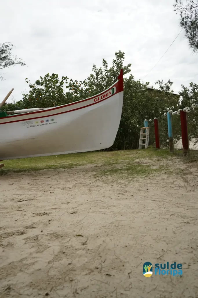 Portal Sul de Floripa esteve no Projeto Toca Rapazi no Rancho do Seu Getúlio no Campeche 6