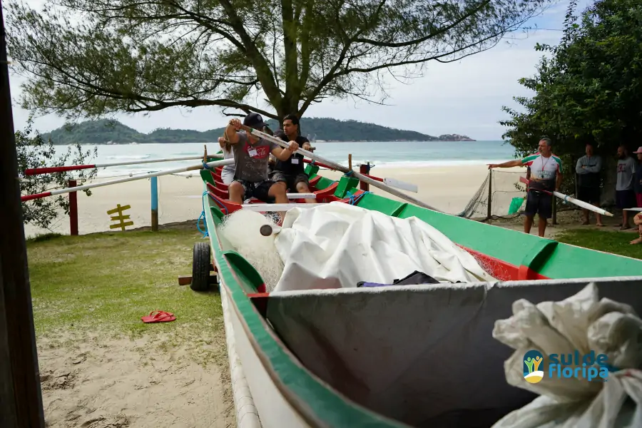 Portal Sul de Floripa esteve no Projeto Toca Rapazi no Rancho do Seu Getúlio no Campeche 1