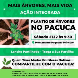 Leia mais sobre o artigo Mutirão de plantio de árvores no PACUCA reúne comunidade do Campeche