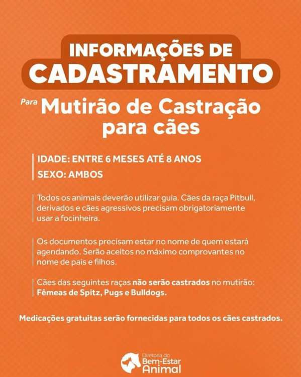 Mutirão de Castração Gratuita para Cães no Sul da Ilha 1