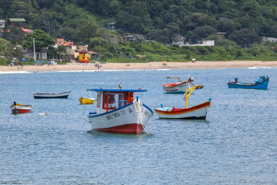 Governo do Estado garante óleo diesel mais barato para quase 500 embarcações pesqueiras em Santa Catarina 5