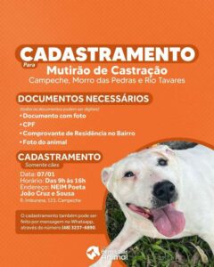 Leia mais sobre o artigo Mutirão de Castração Gratuita para Cães no Sul da Ilha