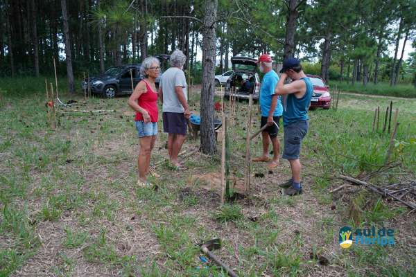 Portal Sul de Floripa acompanha manutenção de mudas no Pacuca promovida pelos Amigos do Pacuca e entidades locais 9