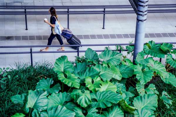 Santa Catarina tem crescimento de 71% no número de turistas internacionais em 2024 1