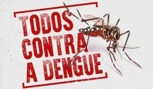 Leia mais sobre o artigo Saúde distribui testes rápidos para diagnóstico da dengue em Santa Catarina