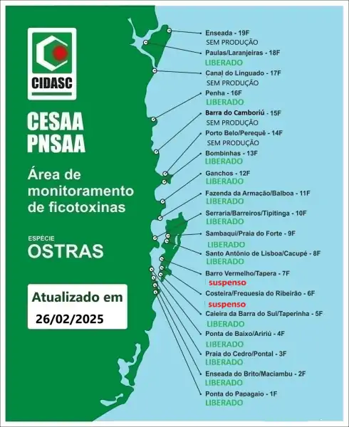 Estão suspensos consumo, comercialização e retirada de moluscos bivalves em algumas áreas de cultivo em Florianópolis 3