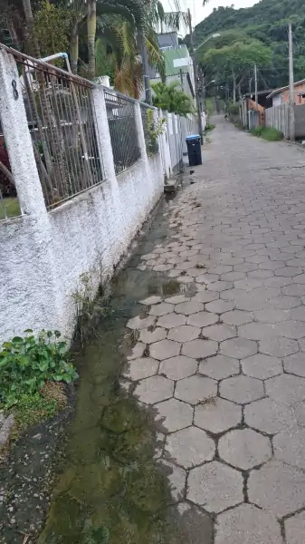 Moradores da Rua Maria Ramos Ouriques denunciam esgoto a céu aberto no Ribeirão da Ilha 2