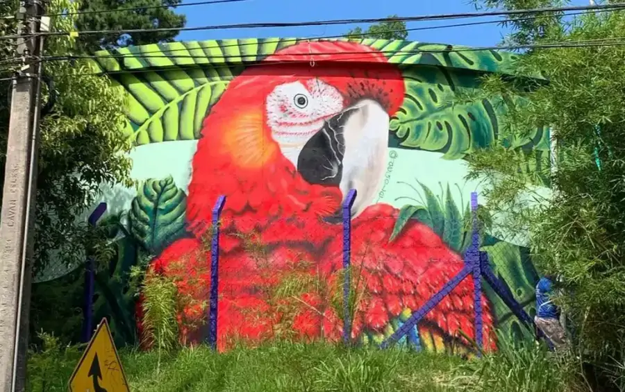 Reservatório da CASAN ganha grafite inédito em Florianópolis 1