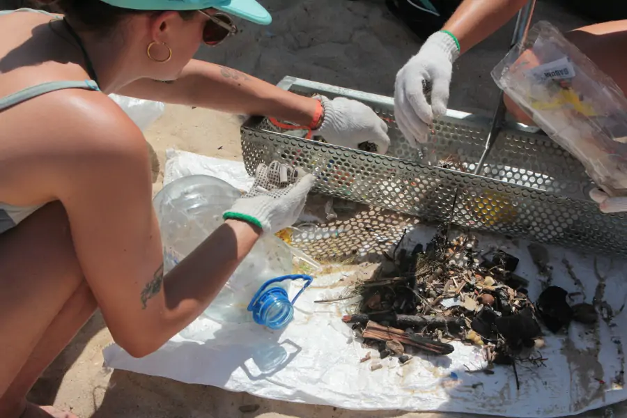 4º Mutirão Lomba Limpa mobilizou comunidade do Campeche em uma grande ação ambiental 2