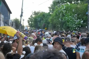 Carnaval 2026: Sul da Ilha concentra blocos, desfiles e tradição comunitária em Florianópolis 17