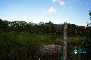 Comunidade do Sul da Ilha se mobiliza para construção de sede própria da 3ª Companhia da PM 9