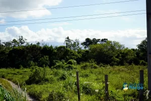 Comunidade do Sul da Ilha se mobiliza para construção de sede própria da 3ª Companhia da PM 5