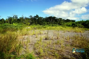 Comunidade do Sul da Ilha se mobiliza para construção de sede própria da 3ª Companhia da PM 11