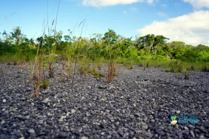 Comunidade do Sul da Ilha se mobiliza para construção de sede própria da 3ª Companhia da PM 12