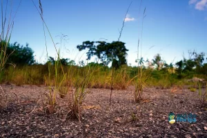 Comunidade do Sul da Ilha se mobiliza para construção de sede própria da 3ª Companhia da PM 13