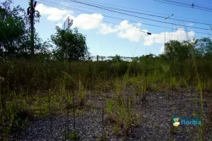 Comunidade do Sul da Ilha se mobiliza para construção de sede própria da 3ª Companhia da PM 2