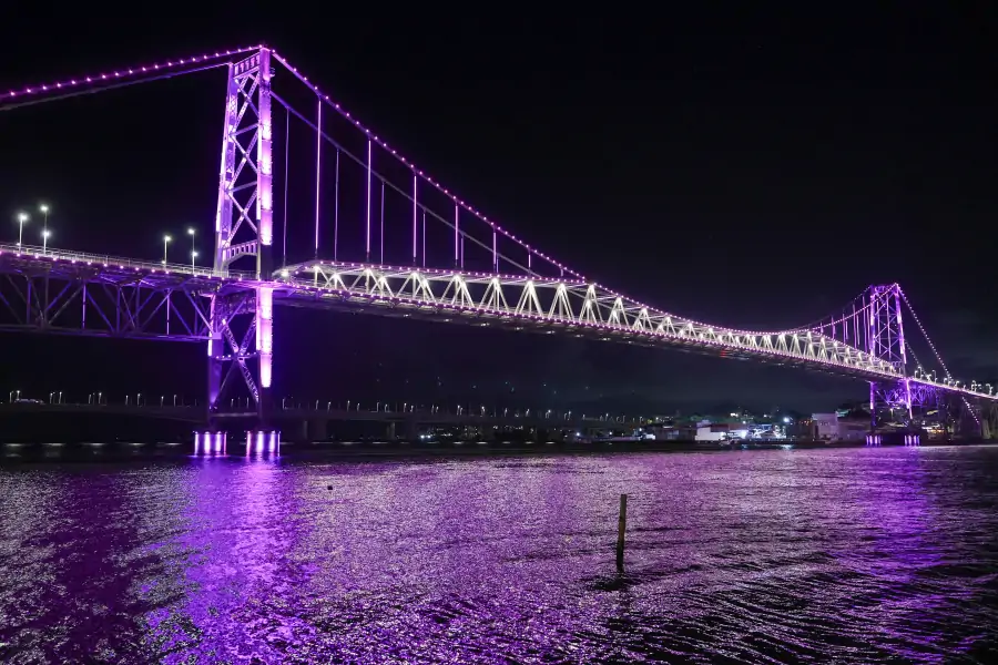 Iluminação em rosa da ponte Hercílio Luz marca lançamento da programação do Governo de SC para o mês da mulher 1