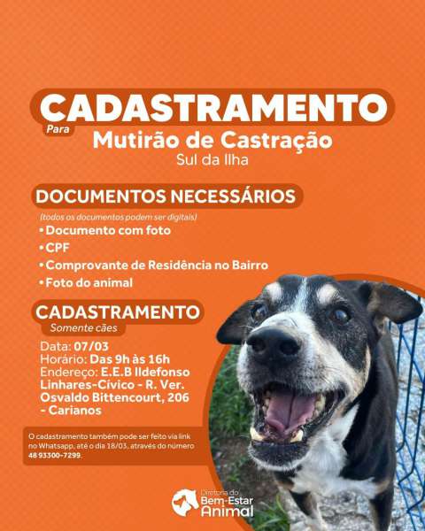 Mutirão de Castração Gratuita para Cães no Sul da Ilha terá cadastramento presencial em 7 de março 1