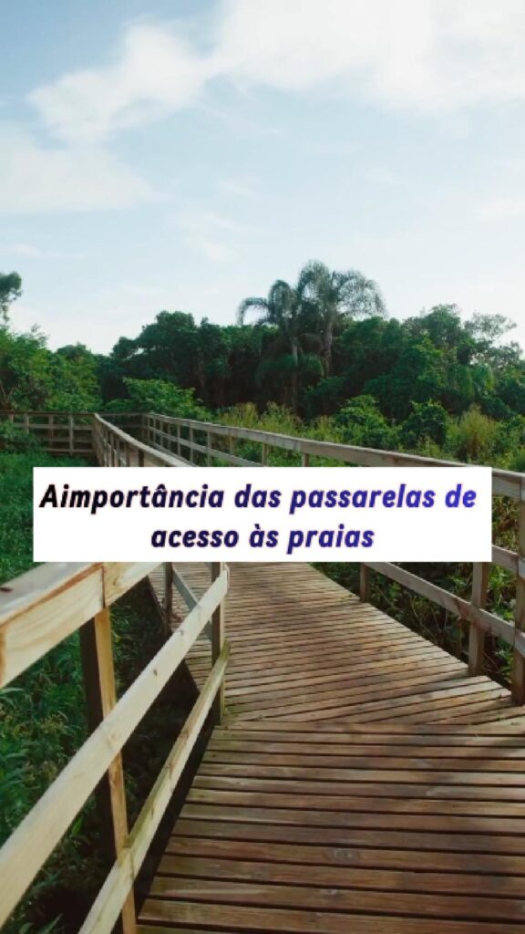 Passarelas de acesso às praias ajudam na preservação da restinga e controle ambiental 1