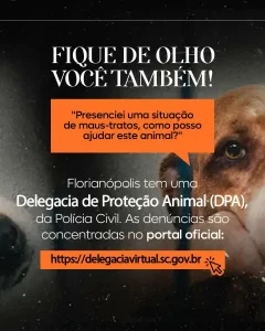 Leia mais sobre o artigo Maus-tratos a Animais é Crime e Pode Levar à Prisão de Até 5 Anos