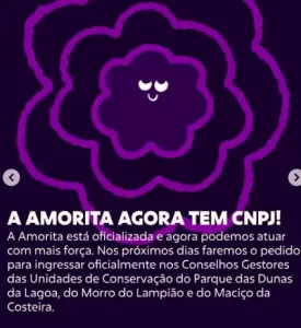 Leia mais sobre o artigo AMORITA intensifica ações em defesa do território e da comunidade do Rio Tavares
