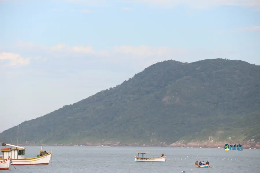 Pântano do Sul dá início à Pesca da Tainha 2025 com fé, tradição e união comunitária 20 Pântano do Sul dá início à Pesca da Tainha 2025 com fé, tradição e união comunitária 20