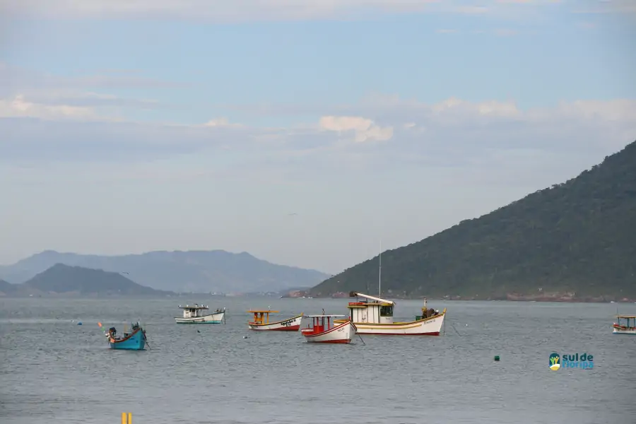 Pântano do Sul dá início à Pesca da Tainha 2025 com fé, tradição e união comunitária 21 Pântano do Sul dá início à Pesca da Tainha 2025 com fé, tradição e união comunitária 21