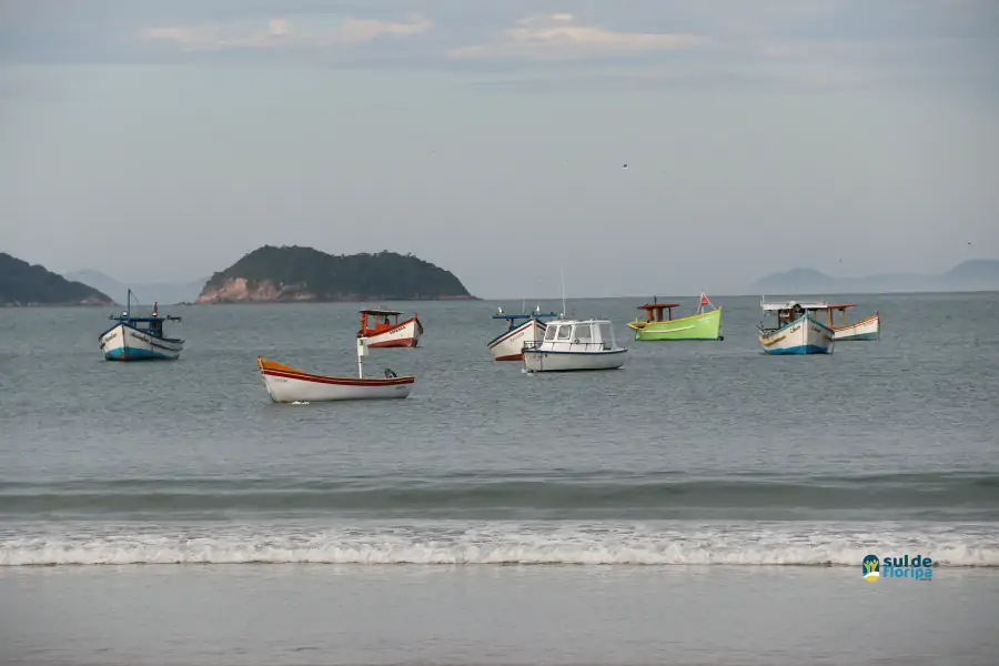 Pântano do Sul dá início à Pesca da Tainha 2025 com fé, tradição e união comunitária 24 Pântano do Sul dá início à Pesca da Tainha 2025 com fé, tradição e união comunitária 24