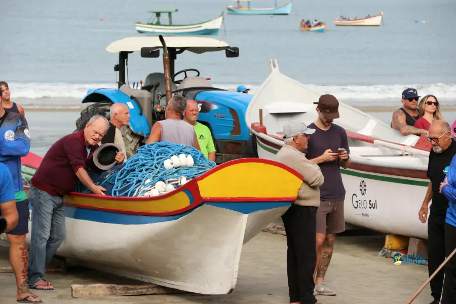 Pântano do Sul dá início à Pesca da Tainha 2025 com fé, tradição e união comunitária 32 Pântano do Sul dá início à Pesca da Tainha 2025 com fé, tradição e união comunitária 32