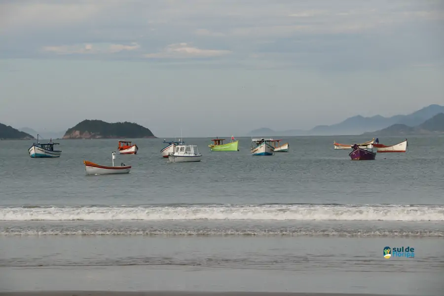 Pântano do Sul dá início à Pesca da Tainha 2025 com fé, tradição e união comunitária 34 Pântano do Sul dá início à Pesca da Tainha 2025 com fé, tradição e união comunitária 34