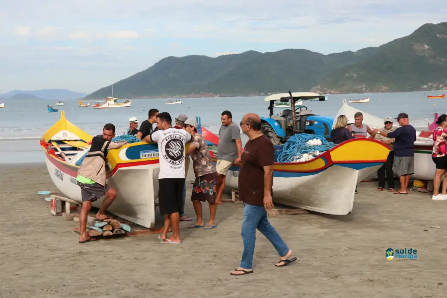 Pântano do Sul dá início à Pesca da Tainha 2025 com fé, tradição e união comunitária 45 Pântano do Sul dá início à Pesca da Tainha 2025 com fé, tradição e união comunitária 45