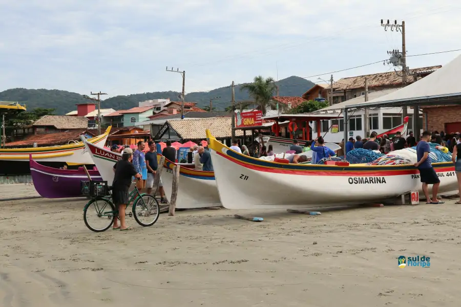 Pântano do Sul dá início à Pesca da Tainha 2025 com fé, tradição e união comunitária 47 Pântano do Sul dá início à Pesca da Tainha 2025 com fé, tradição e união comunitária 47