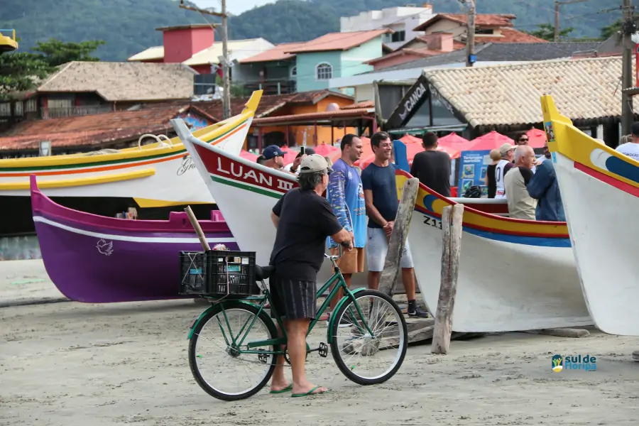 Pântano do Sul dá início à Pesca da Tainha 2025 com fé, tradição e união comunitária 48 Pântano do Sul dá início à Pesca da Tainha 2025 com fé, tradição e união comunitária 48