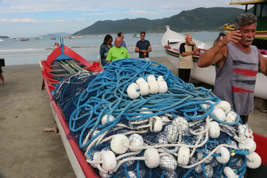 Pântano do Sul dá início à Pesca da Tainha 2025 com fé, tradição e união comunitária 53 Pântano do Sul dá início à Pesca da Tainha 2025 com fé, tradição e união comunitária 53