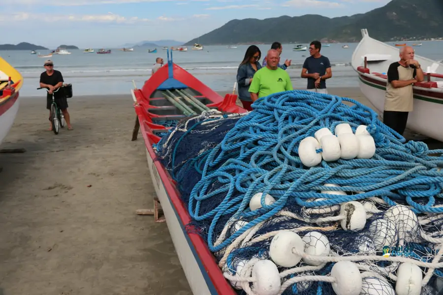 Pântano do Sul dá início à Pesca da Tainha 2025 com fé, tradição e união comunitária 55 Pântano do Sul dá início à Pesca da Tainha 2025 com fé, tradição e união comunitária 55