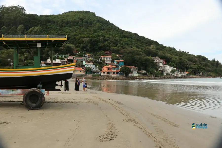 Pântano do Sul dá início à Pesca da Tainha 2025 com fé, tradição e união comunitária 65 Pântano do Sul dá início à Pesca da Tainha 2025 com fé, tradição e união comunitária 65