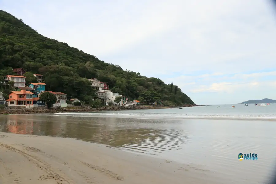Pântano do Sul dá início à Pesca da Tainha 2025 com fé, tradição e união comunitária 66 Pântano do Sul dá início à Pesca da Tainha 2025 com fé, tradição e união comunitária 66