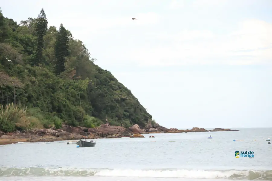 Pântano do Sul dá início à Pesca da Tainha 2025 com fé, tradição e união comunitária 67 Pântano do Sul dá início à Pesca da Tainha 2025 com fé, tradição e união comunitária 67