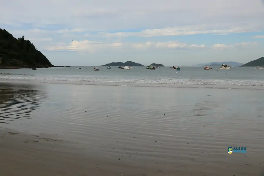 Pântano do Sul dá início à Pesca da Tainha 2025 com fé, tradição e união comunitária 69 Pântano do Sul dá início à Pesca da Tainha 2025 com fé, tradição e união comunitária 69