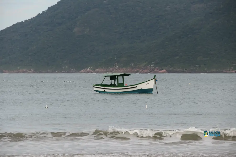 Pântano do Sul dá início à Pesca da Tainha 2025 com fé, tradição e união comunitária 70 Pântano do Sul dá início à Pesca da Tainha 2025 com fé, tradição e união comunitária 70