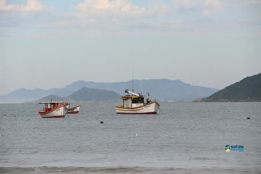 Pântano do Sul dá início à Pesca da Tainha 2025 com fé, tradição e união comunitária 71 Pântano do Sul dá início à Pesca da Tainha 2025 com fé, tradição e união comunitária 71